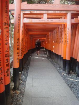 Running through Inari shrine