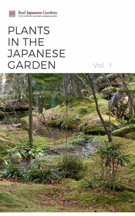 Plants in the Japanese Garden