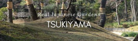 Tsukiyama Blog