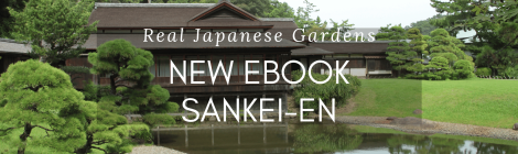 Blog new ebook sankeien